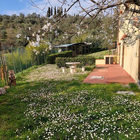 インプルネータDependance Nel Chianti A Pochi Minuti Da Firenzeアパートメント エクステリア 写真