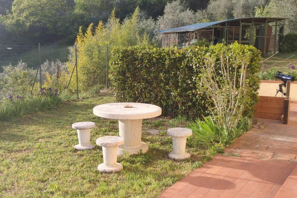 インプルネータDependance Nel Chianti A Pochi Minuti Da Firenzeアパートメント エクステリア 写真