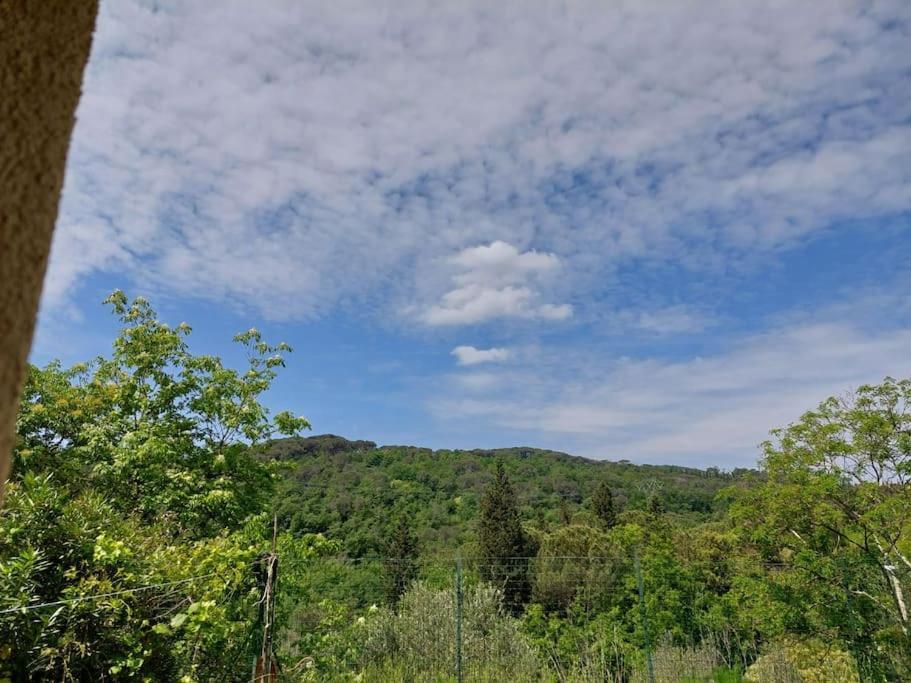 インプルネータDependance Nel Chianti A Pochi Minuti Da Firenzeアパートメント エクステリア 写真